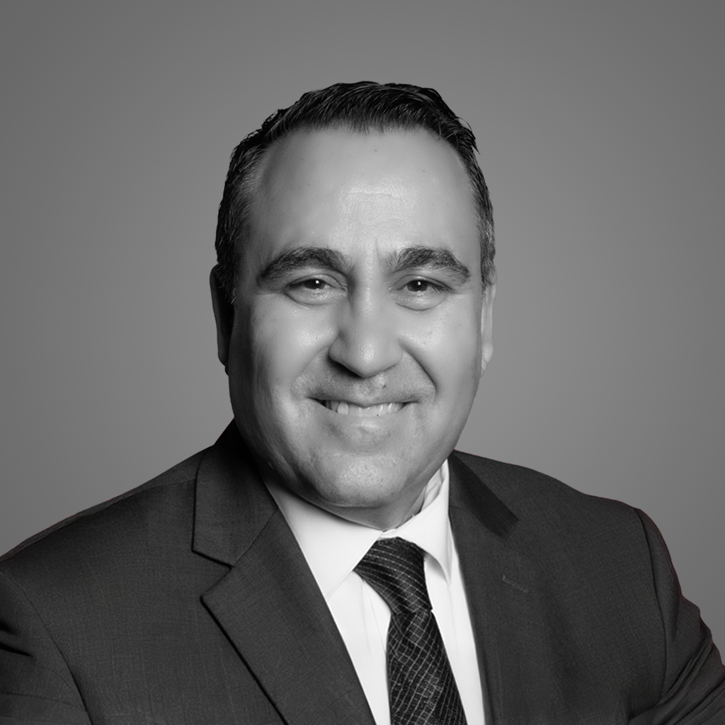 RozinTeam_SMEs_katsav
